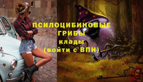 стафф Алексеевка