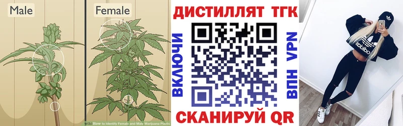 купить наркоту Алупка ТГК THC oil